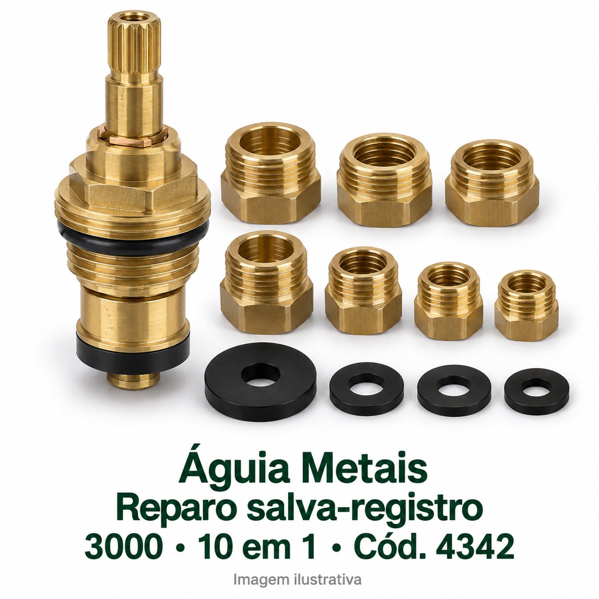 AGUIA Reparo 3000 salva registro 10 em 1